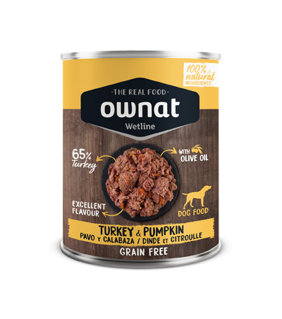 OWNAT_PERRO_TURKEY_PUMPKIN_l